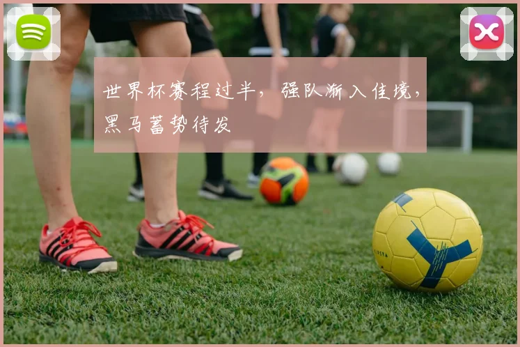 世界杯赛程过半，强队渐入佳境，黑马蓄势待发